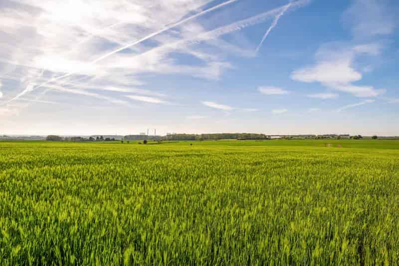 Arable Land Nottinghamshire 78.29 Hectares Farming Land for Sale