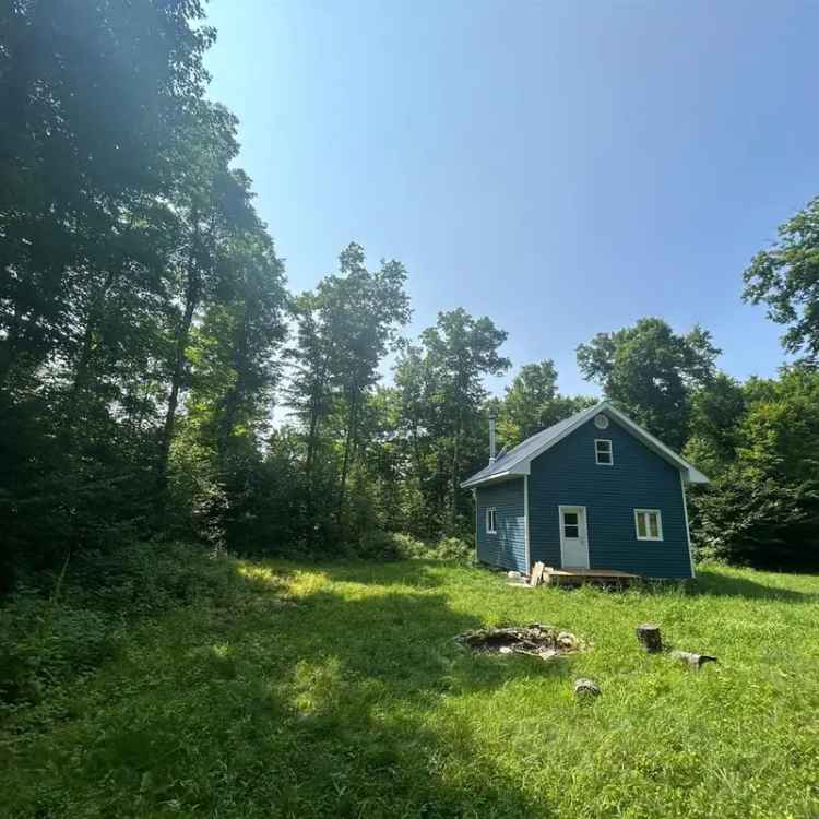 85-Acre Hunting Cabin in Low - Nature Lover's Paradise