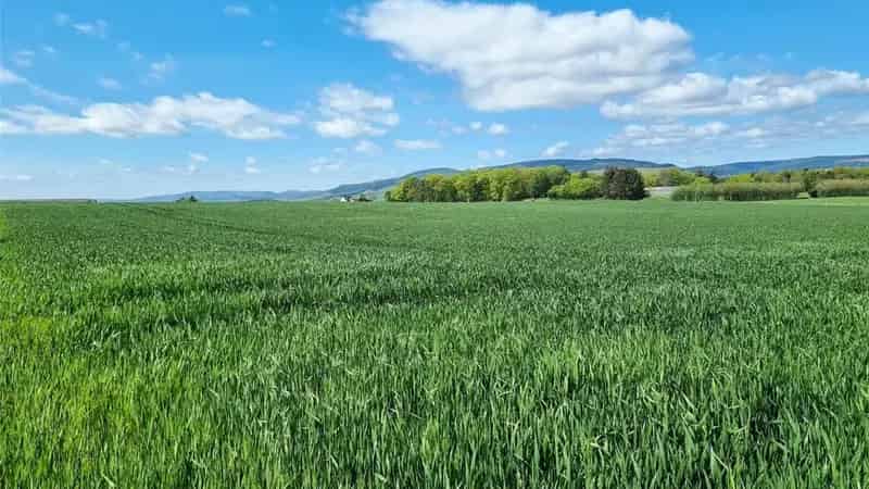 Lot 2 Land at Pittengardner 248.19 Acres Agricultural Land