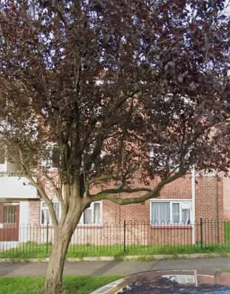 2 Bedroom Large Ground Floor Flat