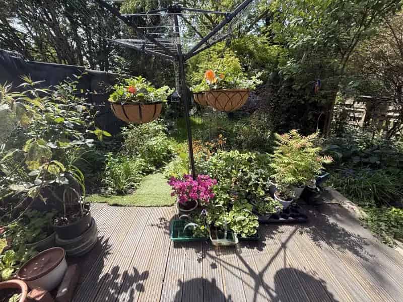 3 Bedroom End of Terrace House to Rent