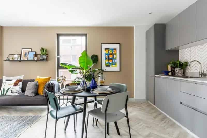 1 bedroom apartment