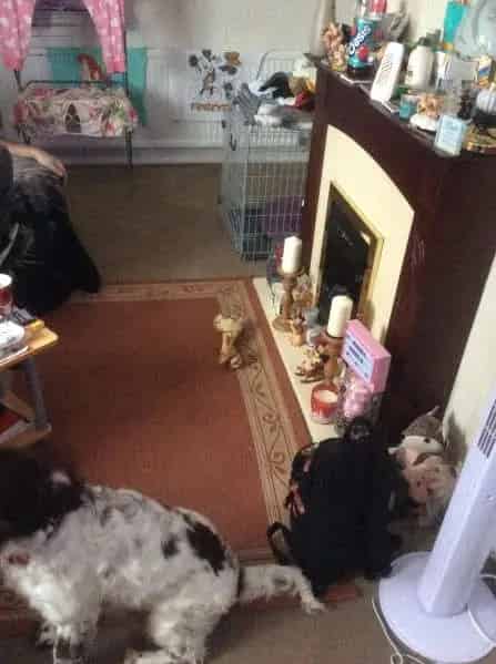 2 Bedroom Bungalow Swap Skegness Ingoldmells Disabled Access