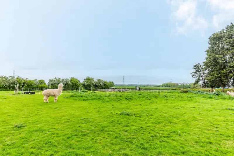 Five Bedroom Family Home with Business Opportunity on 5.5 Acres
