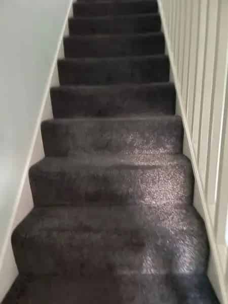 3 Bed House New Carpet Large Garden Excellent Schools
