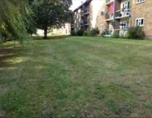 Flat For Rent , London, England
