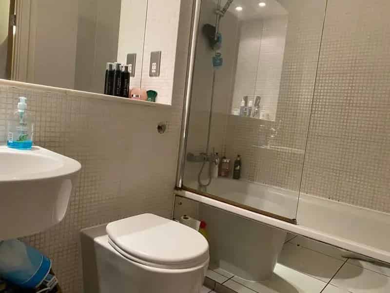1 Bedroom Apartment near Brick Lane Shoreditch