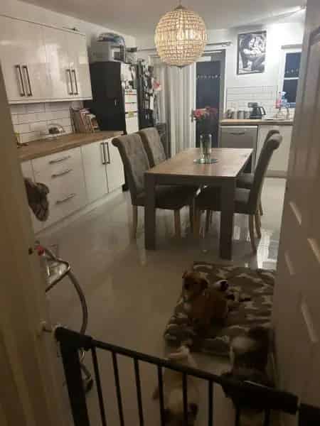 House For Rent , Chard, England