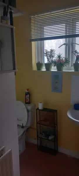 One Bed Ground Floor Flat Earlsfield Private Garden