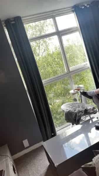 Spacious Apartment near Orchard and Duck Pond in Sutton Coldfield