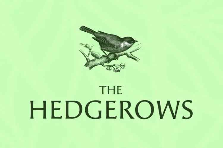 New 2-5 Bedroom Homes in Thurston Suffolk