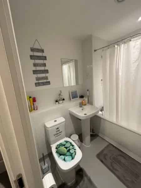 2 Double Bedroom Flat Walthamstow Canary Wharf Views