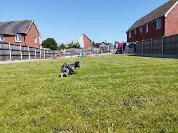 2 Bed Semi-Detached House with Massive Garden and Parking