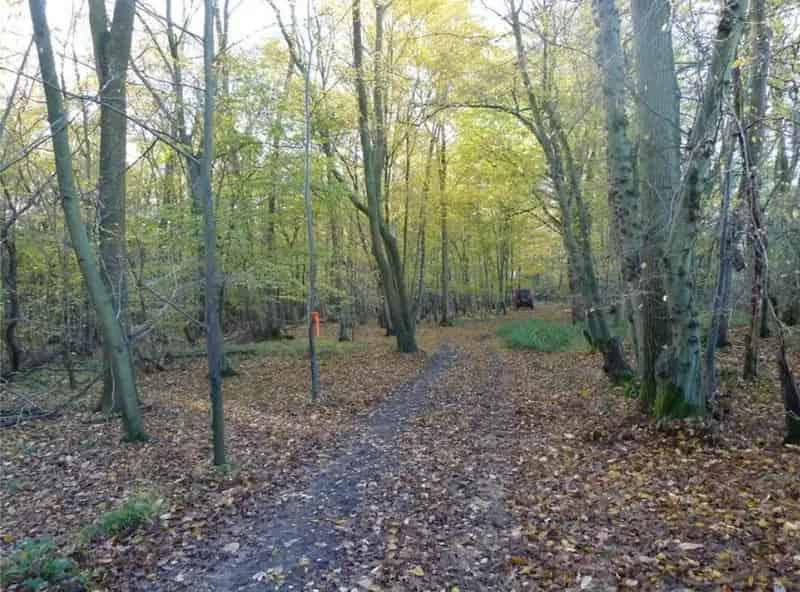 Agricultural Land and Amenity Woodland Plots for Sale