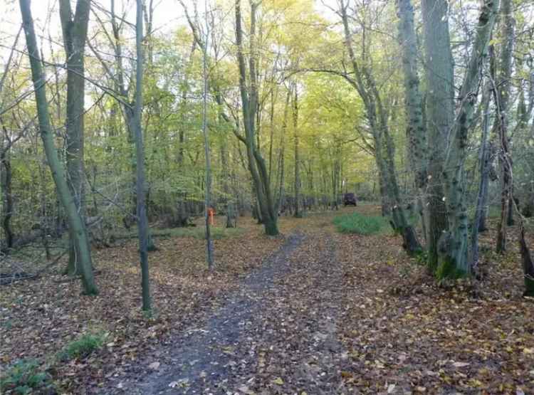 Agricultural Land and Amenity Woodland Plots for Sale