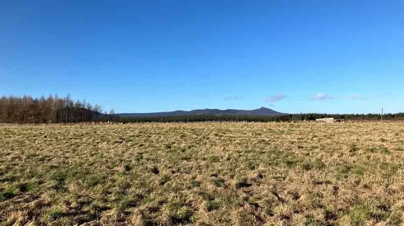 Land at Woodend Aberdeenshire Grade 3(2) IACS Registered