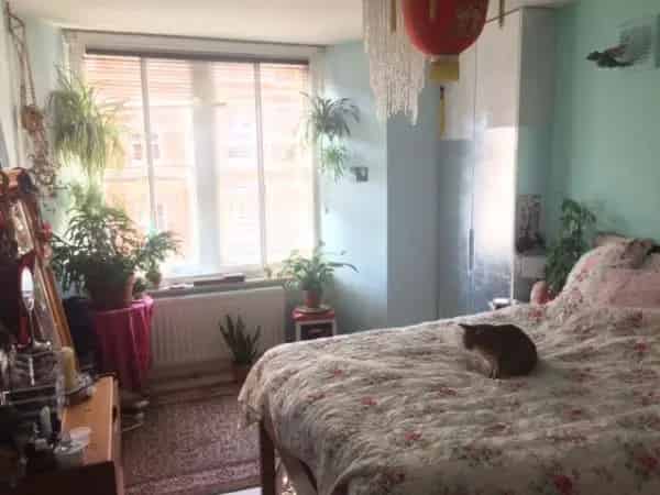3 Bed Victorian Flat near UCLH  2 Person Tenancy
