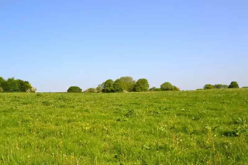 10 Acres of Pasture Land for Sale