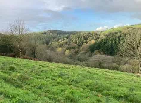 16 Acres of Wooded Land near Barnstaple
