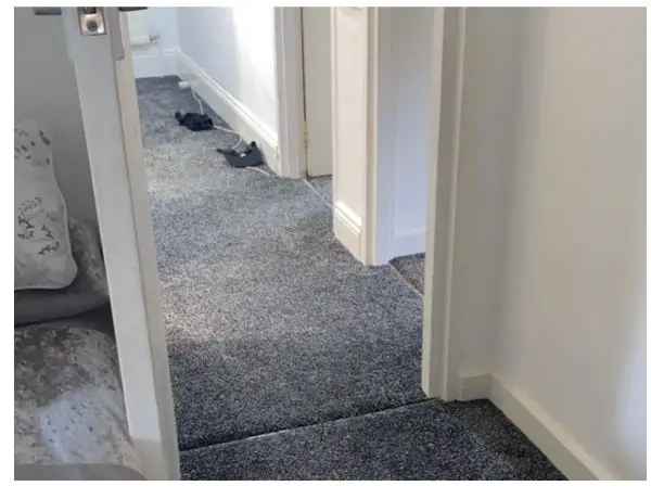 Flat For Rent in London, England