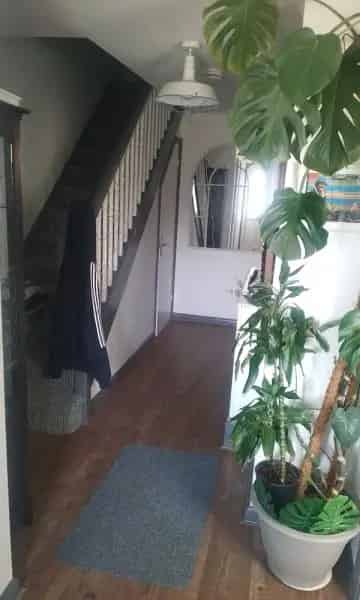 House with Car Park Pond Sheds Large Kitchen New Shower Big Loft Storage