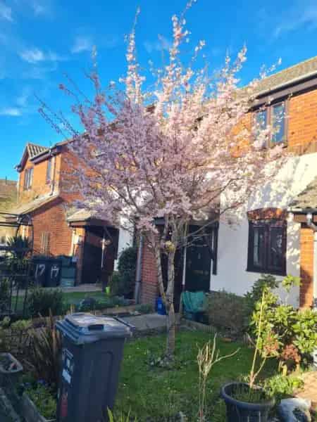 2 Bed House in Seaton Devon