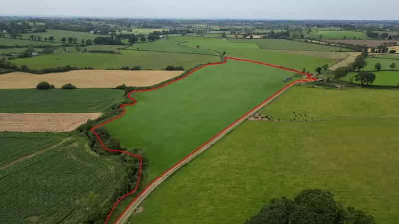 13 Acres Agricultural Land Markethill Road Portadown