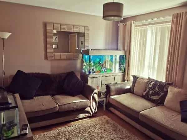 3 Bedroom Semi Detached House with 2 Car Drive