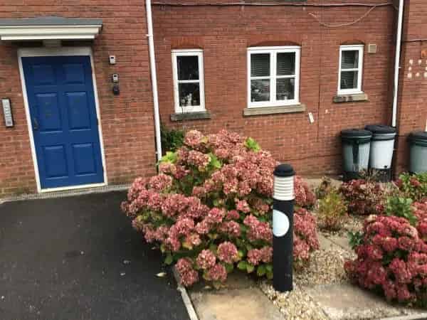 Flat For Rent , Exeter, England