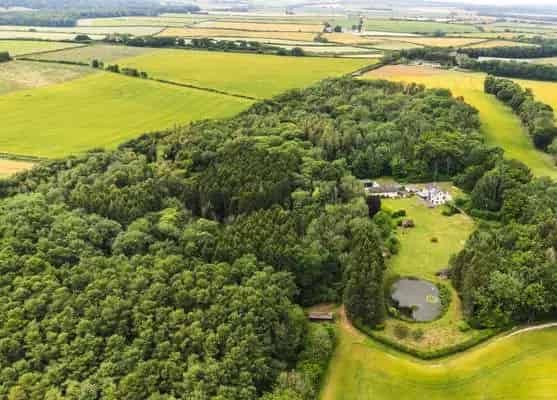 Modern Country House with 23 Acres and Thatched Cottages