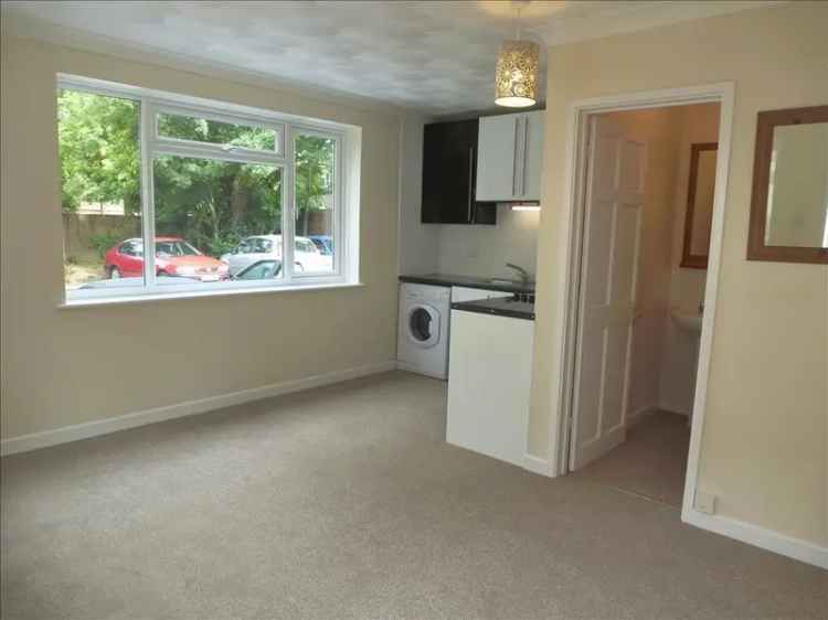 Ground Floor Studio Apartment Banister Park Southampton