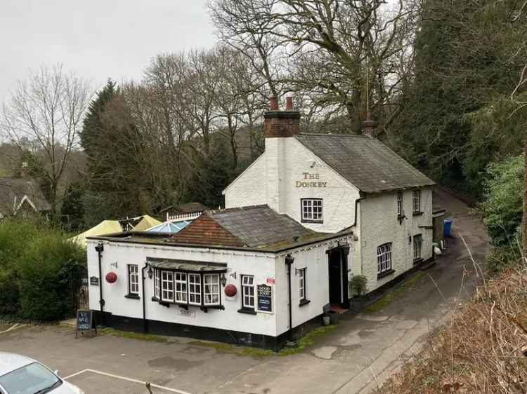 Freehold Pub with Donkey Barn and Paddock in Affluent Area