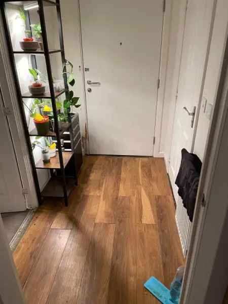 Flat For Rent in Basingstoke and Deane, England