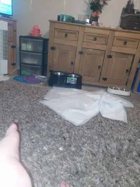 Flat For Rent , Mid Sussex, England