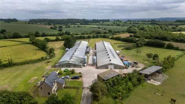 Dorset Farm for Sale 67000 Bird Capacity Poultry Sheds Farmhouse