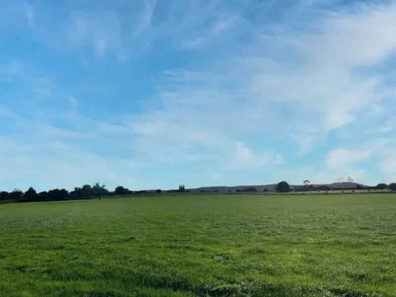 24.55 Acres Productive Land for Sale