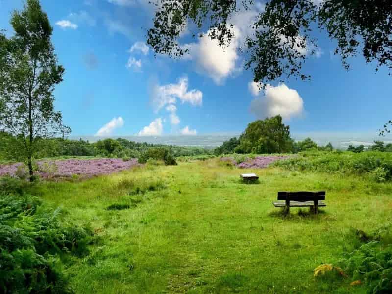 3 Bedroom Detached Bungalow for Sale in Uckfield