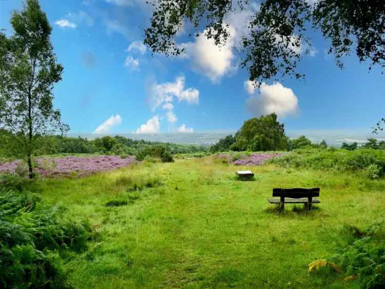 3 Bedroom Detached Bungalow for Sale in Uckfield