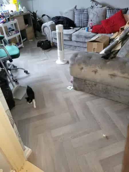 1 Bed Flat First Floor Pets Allowed Shops Close By