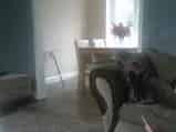 4 Bed House Yeovil Somerset Close to Shops Schools and Doctors