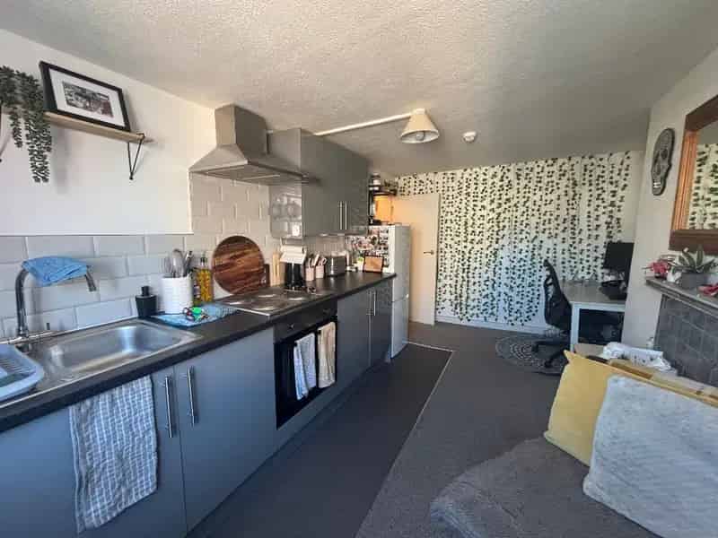 1 bedroom apartment
