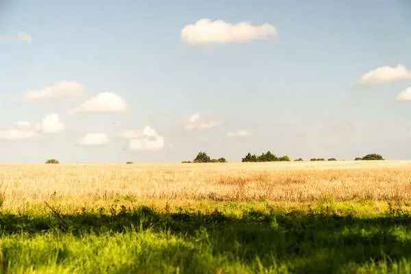 Abbey Farm Barns, Alby, Norwich, Norfolk, NR11 7HG | New homes for sale | Savills