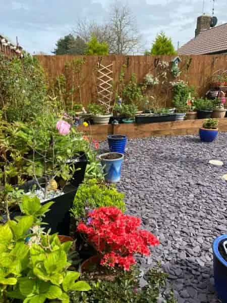 One Bedroom Bungalow with Enclosed Garden