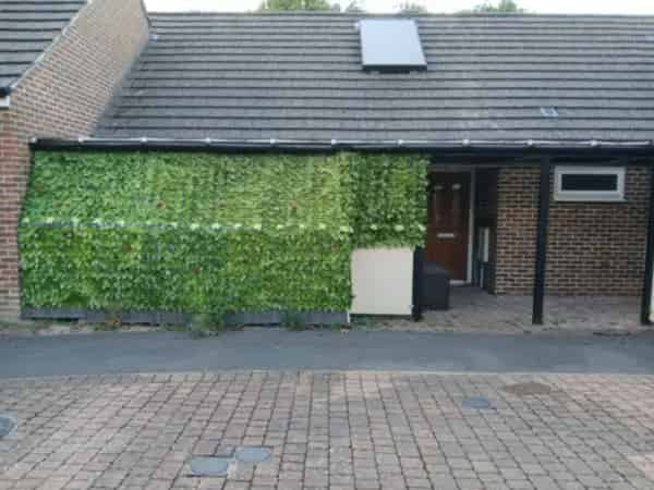 2 Bed Bungalow Maidstone - Pet-Friendly House or Bungalow Sought