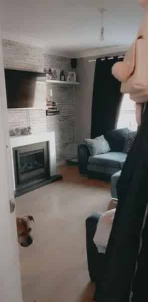 3 Bedroom House with Double Driveway and Big Garden