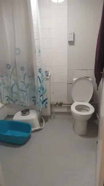 1 Bed Flat Kemptown Sea Views Pets Allowed Wet Room