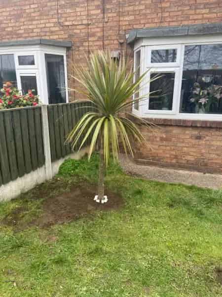 3 Bedroom House Private Garden Corner Plot