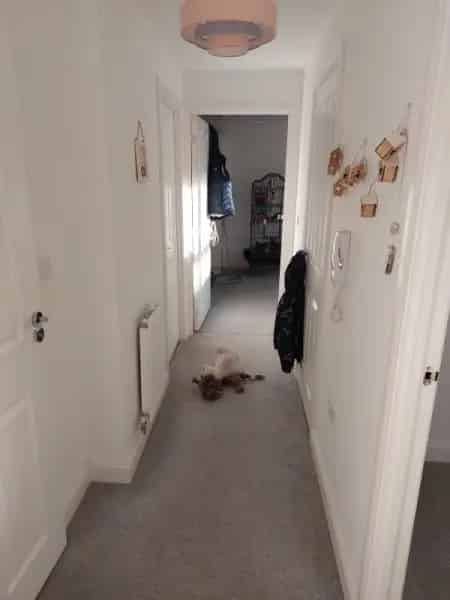 2 Year Old 1st Floor Property Near Parks and Shops
