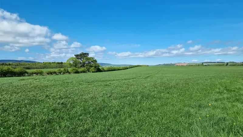 248.19 Acres Agricultural Land for Sale in Kincardineshire