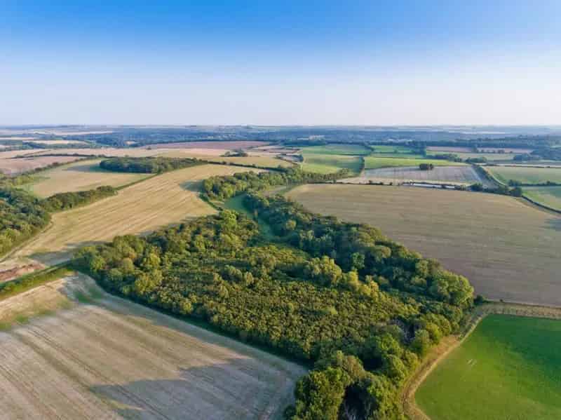 Deerland Farm Lot 2: 50.6 Acres with Barn Planning Consent